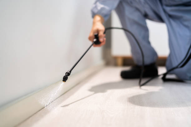 Certified termite inspector examining foundation in Cresco